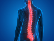 Spinal decompression therapy can help alleviate pressure on the nervous system and also provide relief